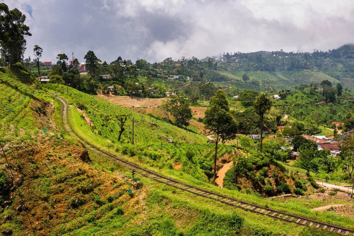 Sri Lanka’da çay bahçelerinin manzarası
